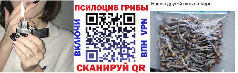 darknet клад  Мезень  Галлюциногенные грибы Cubensis 